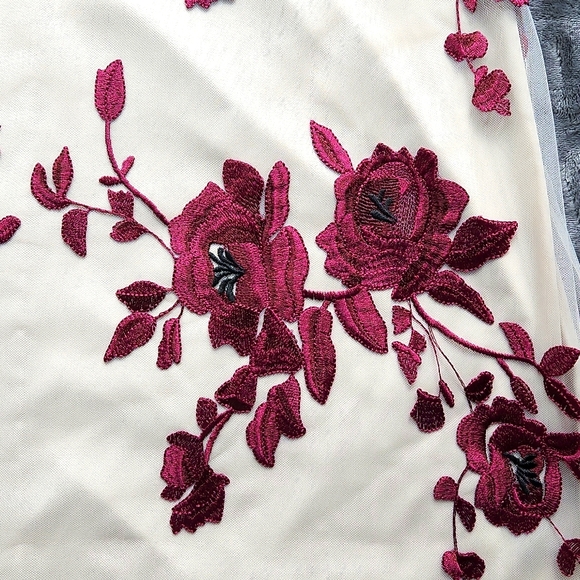 Beige by Eci, Swing Dress, Sm with embrodierd net of Maroon Roses and Leaves - Picture 2 of 6